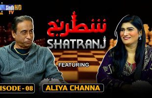 Shatranj – Episode 08 | Aliya Channa | SindhTVHD Drama