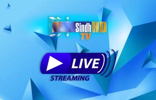 Live Stream