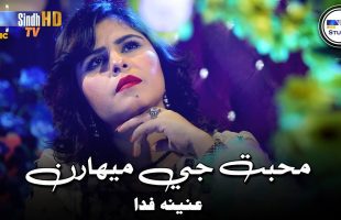 Muhabbat Je Meharan | Anina Fida | Sindh Music Studio | Season 1