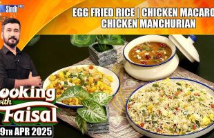 Egg Fried Rice | Chicken Macaroni | Chicken Manchurian | Cooking With Faisal | SindhTVHD CookingShow