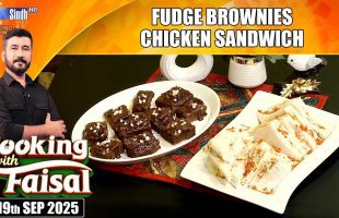 Fudge Brownies | Chicken Sandwich | Cooking With Faisal | SindhTVHD Cooking Show
