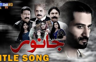 Telefilm Janwar | Title Song | Safi Aashir Samo | Sindhi Song 2024 | SindhTVHD Music