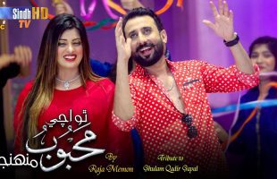 Mehboob | Raja Memon | Sindhi Song | Eid Ul Fitr 2024 | SindhTVHD Music