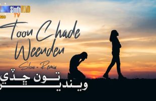 Toon Chade Weenden [Slow + Remix] | Munawar Molai | New Sindhi Song 2024 | SindhTVHD Music