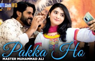 Pakka Ho | Master Muhammad Ali | New Sindhi Song 2024 | SindhTVHD Music