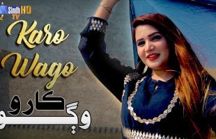 Karo Wago | Ayat Ali | New Sindhi Song 2024 | SindhTVHD Music