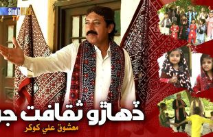 Diharo Saqafat Jo | Mashooque Ali Khokhar | Sindhi Culture Day Song 2024 | SindhTVHD Music