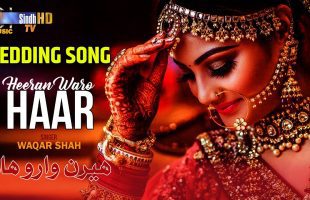 Heeran Waro Haar | Waqar Shah | Sindhi Wedding Song 2024 | SindhTVHD Music