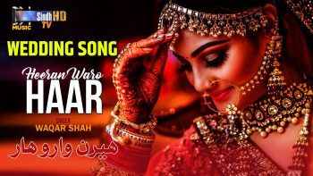 Heeran Waro Haar | Waqar Shah | Sindhi Wedding Song 2024 | SindhTVHD Music