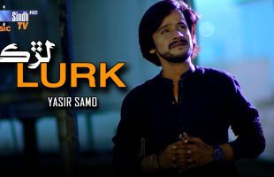 Lurk | Yasir Samo | Sindhi Song 2025 | SindhTVHD Music
