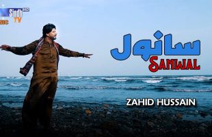 Sanwal | Zahid Hussain | Sindhi Song 2025 | SindhTVHD Music
