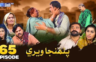 Pahinja Weri | Episode 65