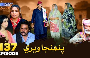 Pahinja Weri Episode 137 | Soap Serial | SindhTVHD Drama