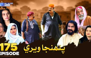 Pahinja Weri Episode 175 | Soap Serial | SindhTVHD Drama